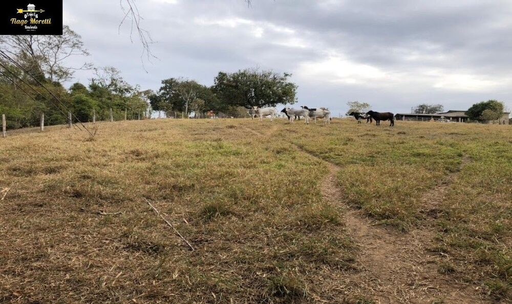 Sítio, 2 hectares - Foto 6