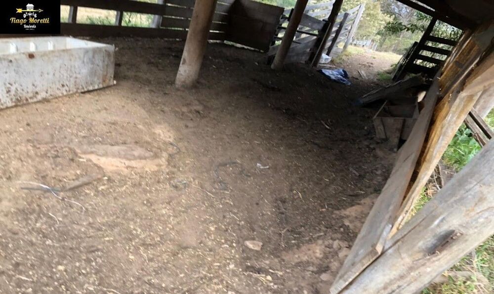 Sítio, 2 hectares - Foto 12