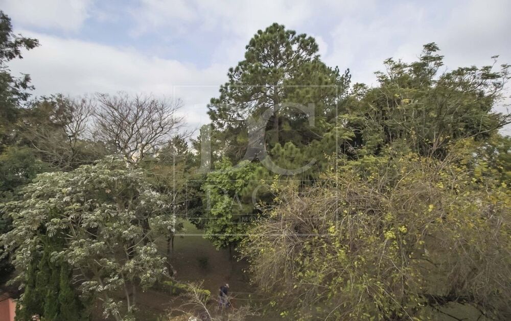 Cobertura, 3 quartos, 252 m² - Foto 4