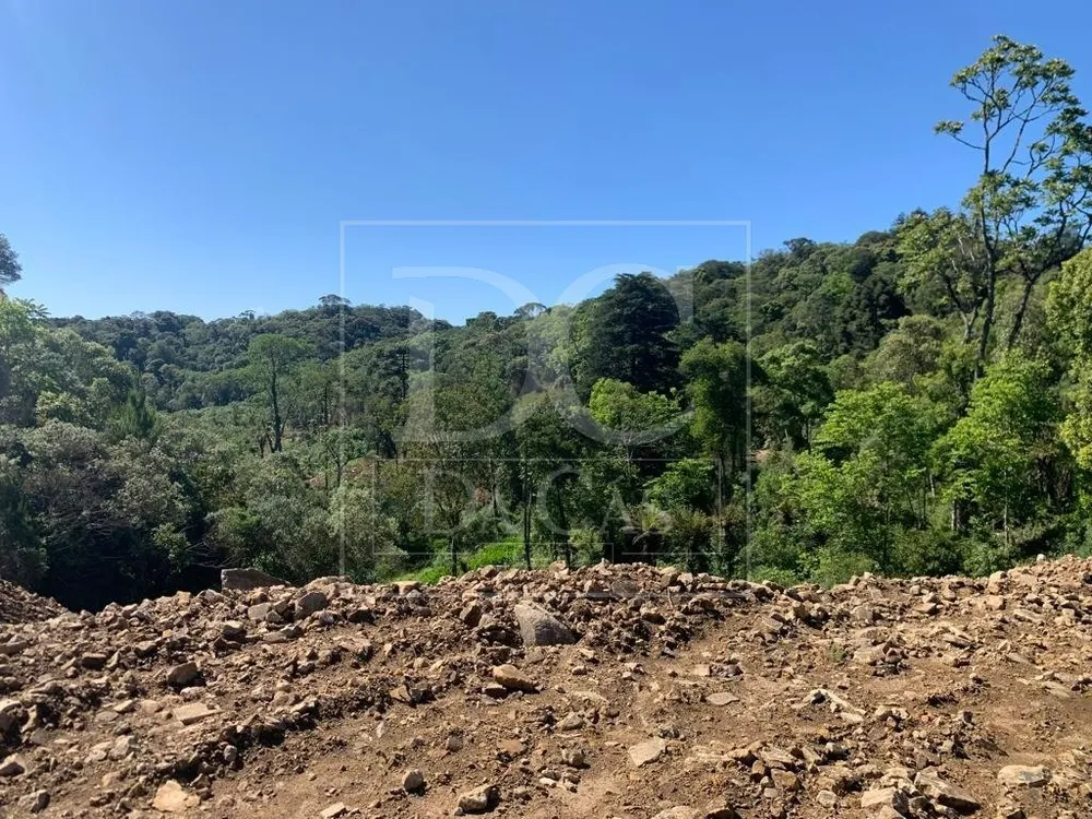 Terreno, 1000 m² - Foto 3