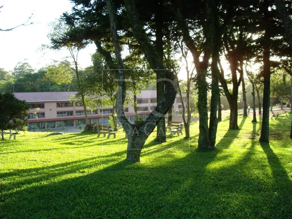 Terreno, 4 hectares - Foto 4