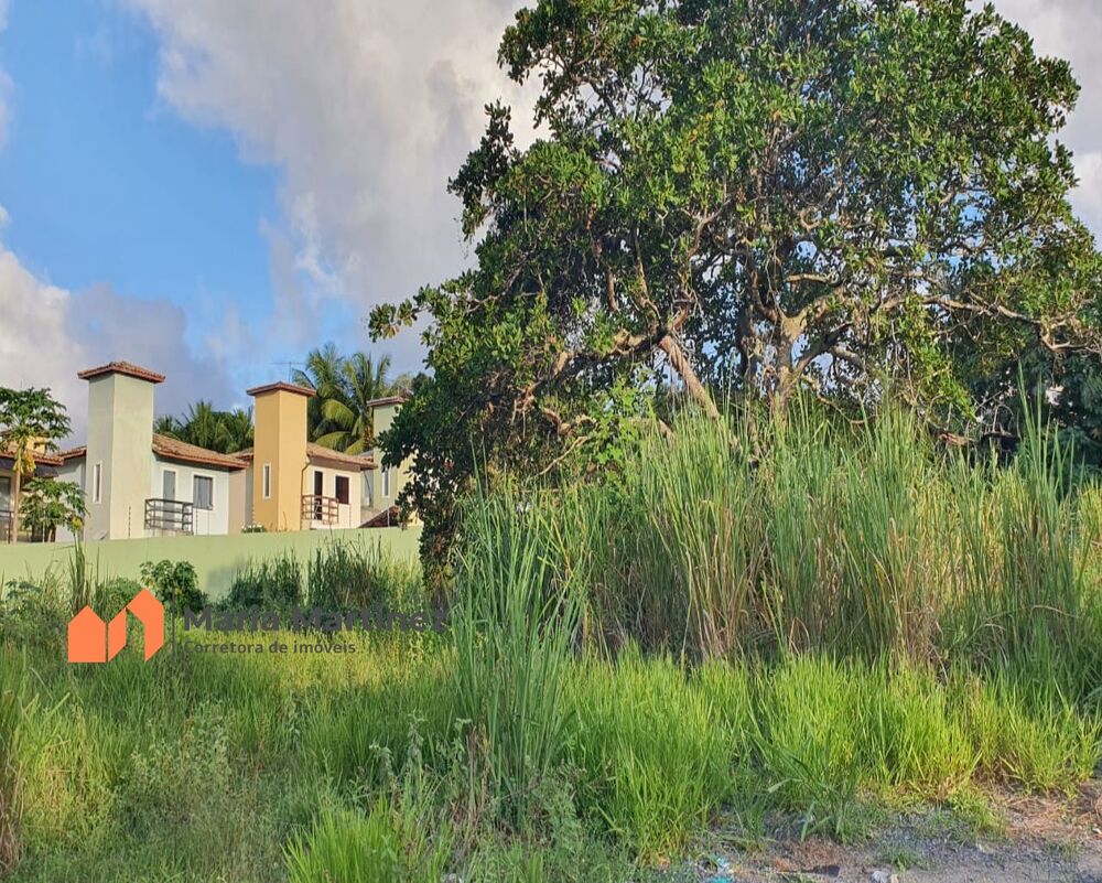 Terreno, 2850 m² - Foto 3