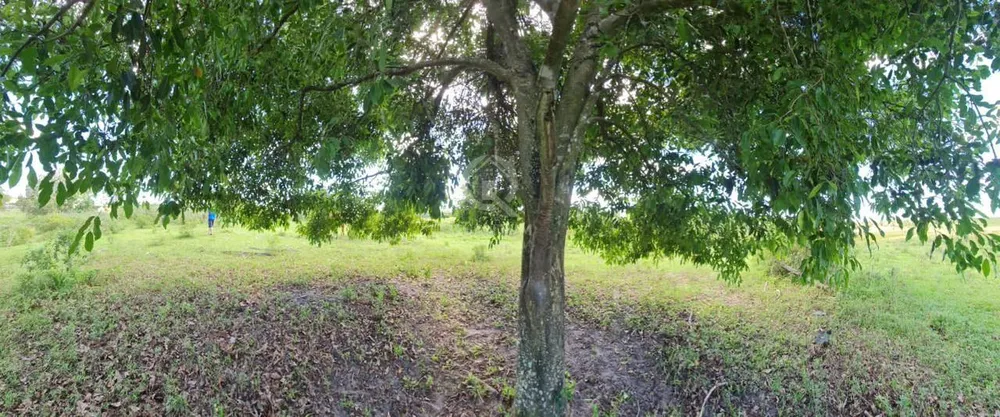 Fazenda, 1 hectares - Foto 42