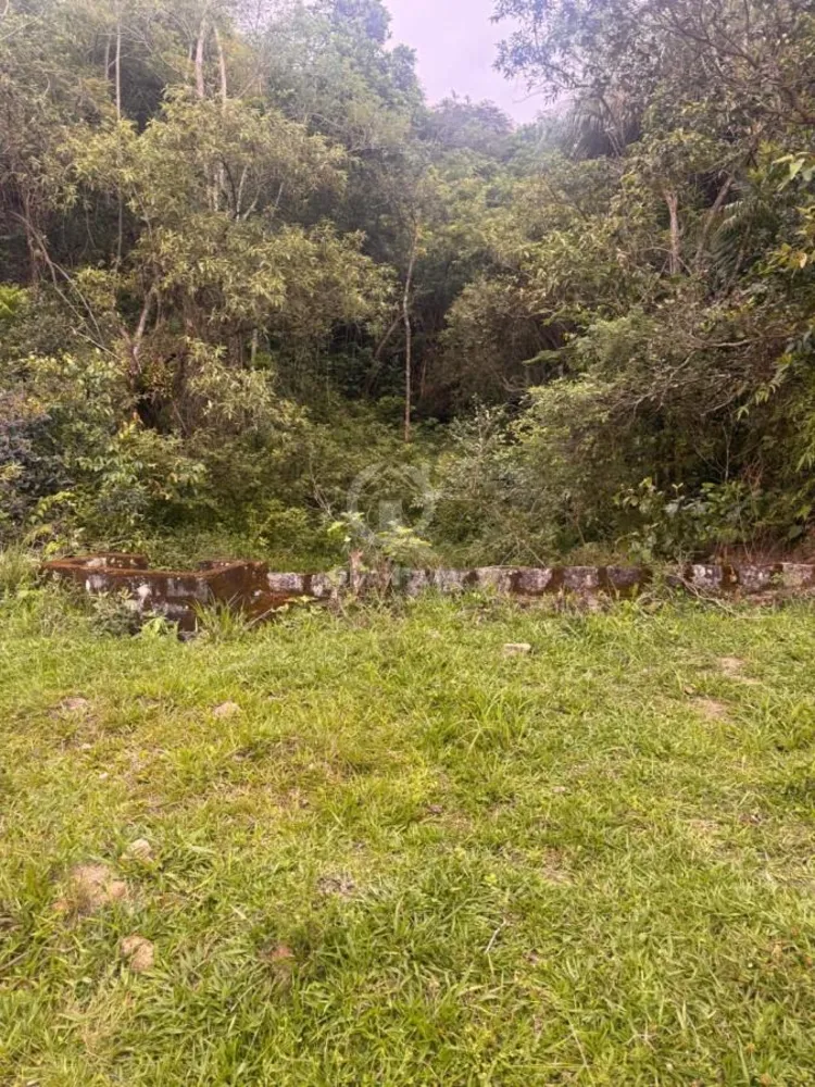 Sítio, 10 quartos, 78 hectares - Foto 4