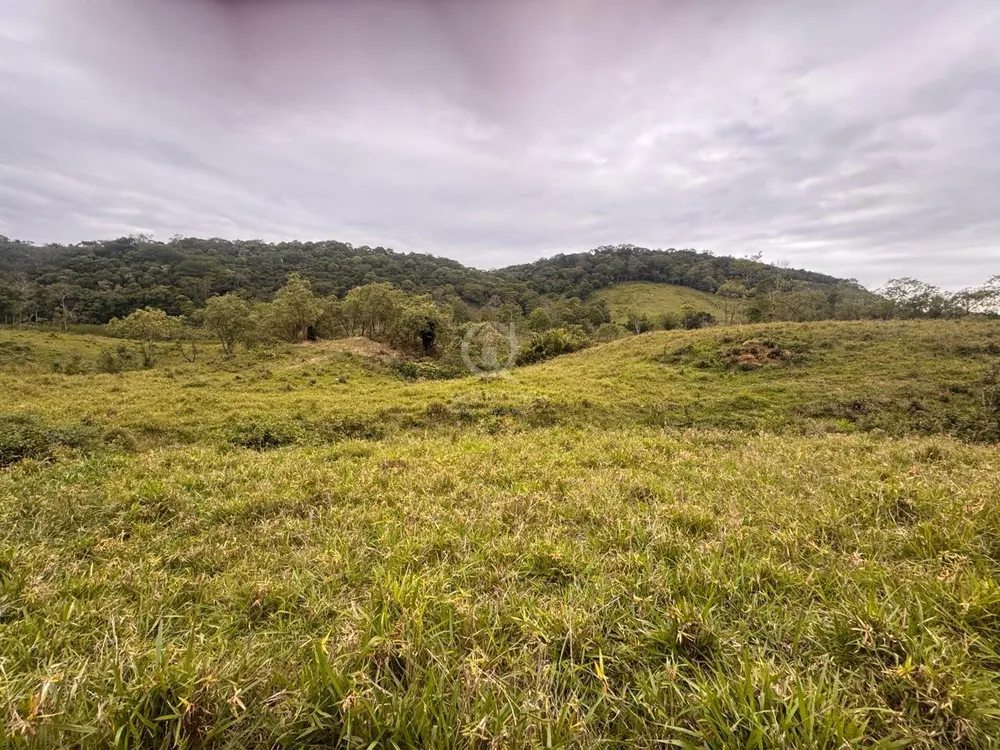 Sítio, 10 quartos, 78 hectares - Foto 3