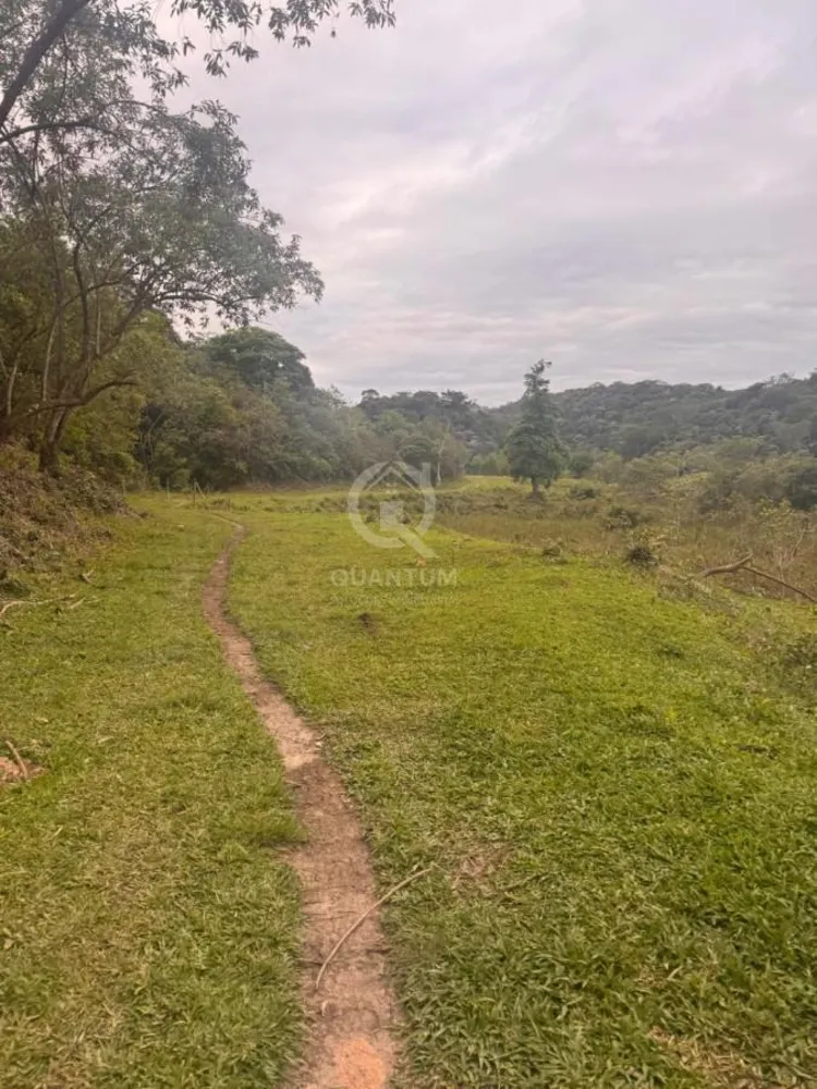 Sítio, 10 quartos, 78 hectares - Foto 7