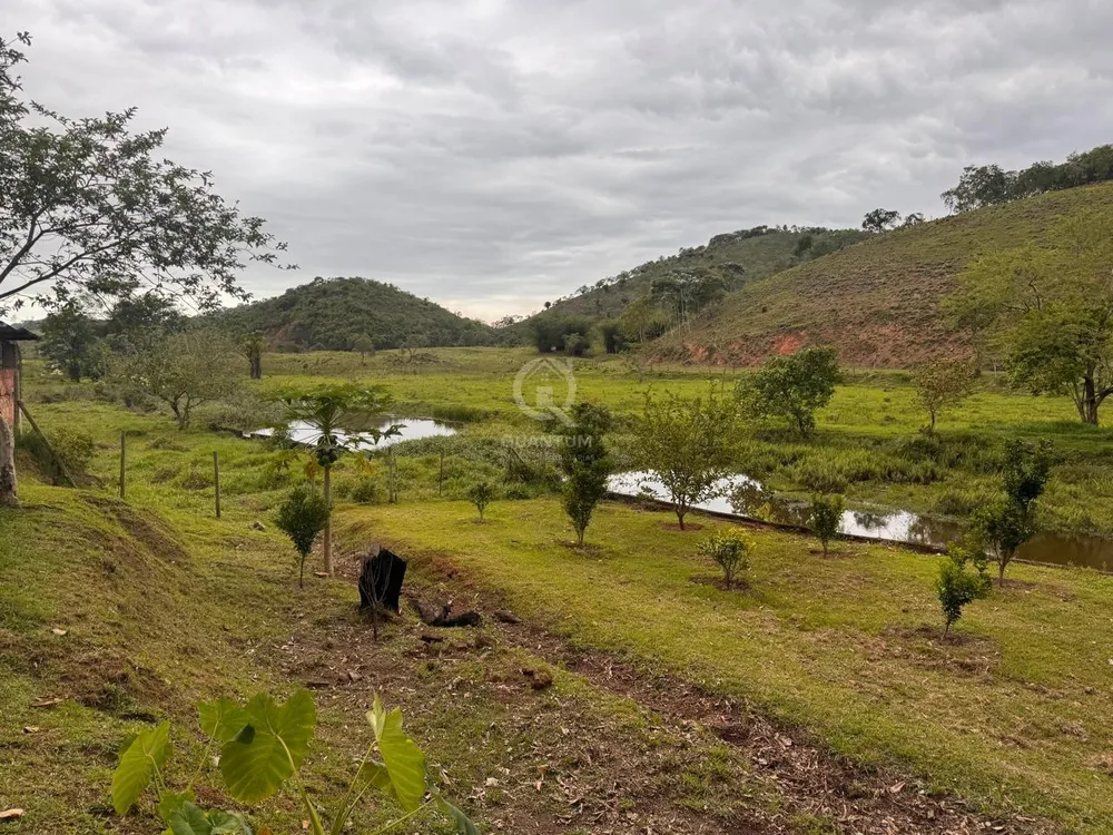 Sítio, 10 quartos, 78 hectares - Foto 22