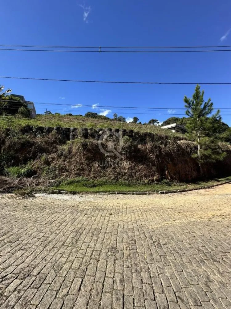 Terreno, 320 m² - Foto 3