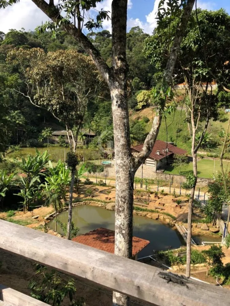 Casa, 7 quartos, 143 m² - Foto 6