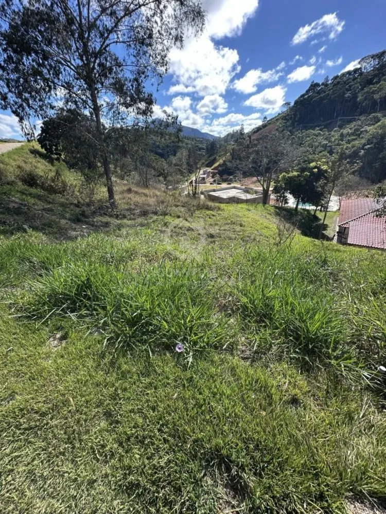 Terreno, 20 hectares - Foto 4