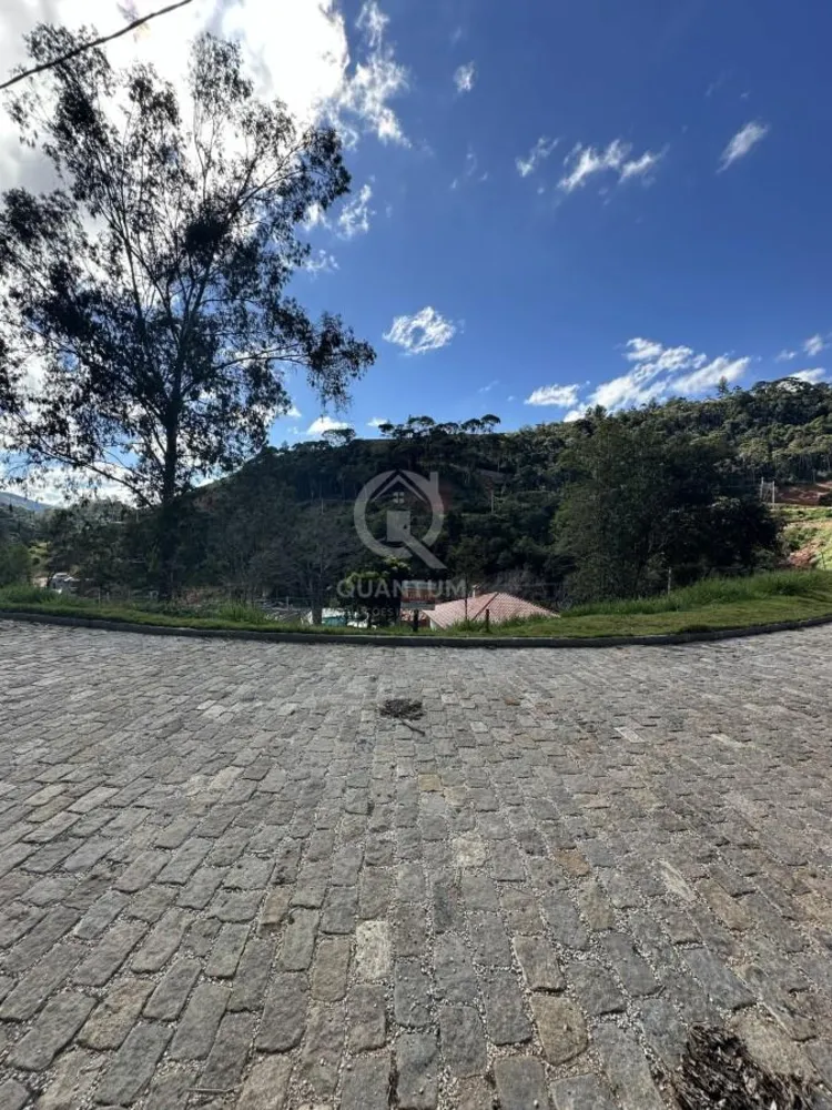 Terreno, 20 hectares - Foto 3