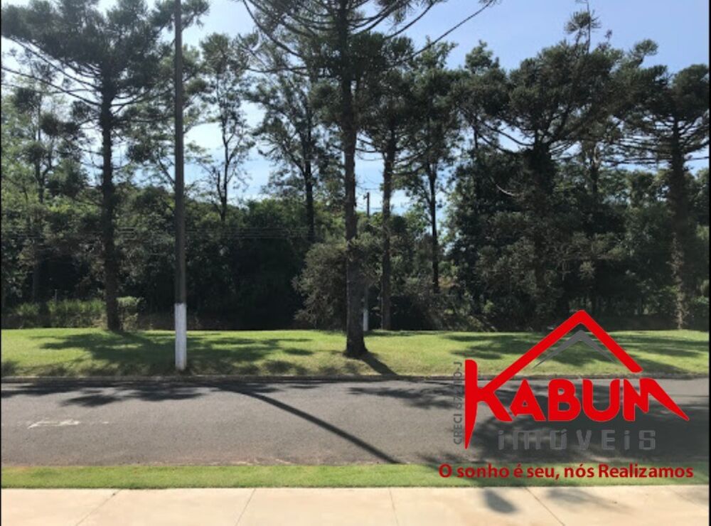 Terreno, 250 m² - Foto 2