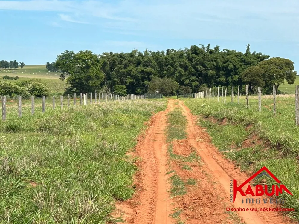 Fazenda, 220 m² - Foto 9