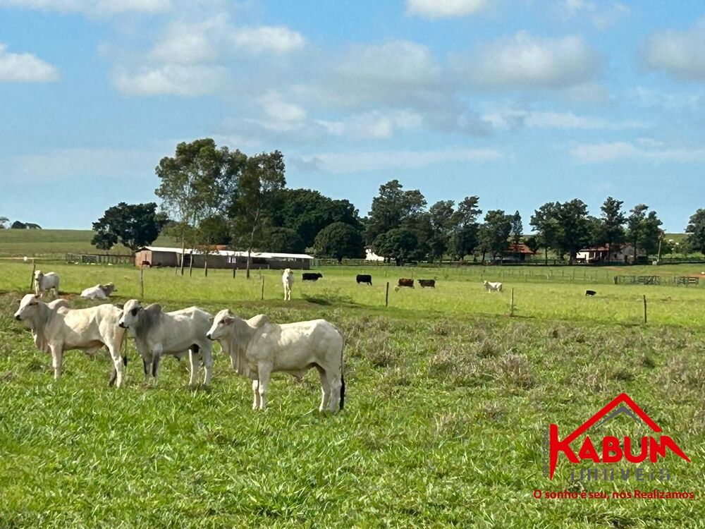 Fazenda à venda, 91m² - Foto 3