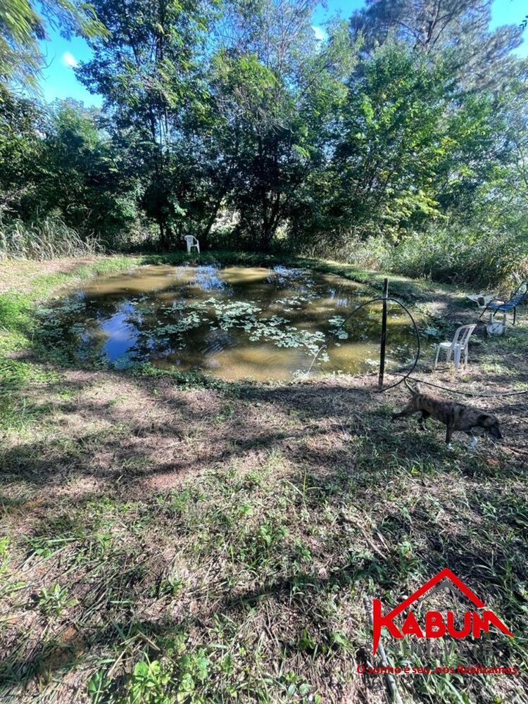 Sítio, 5 quartos, 3 hectares - Foto 3