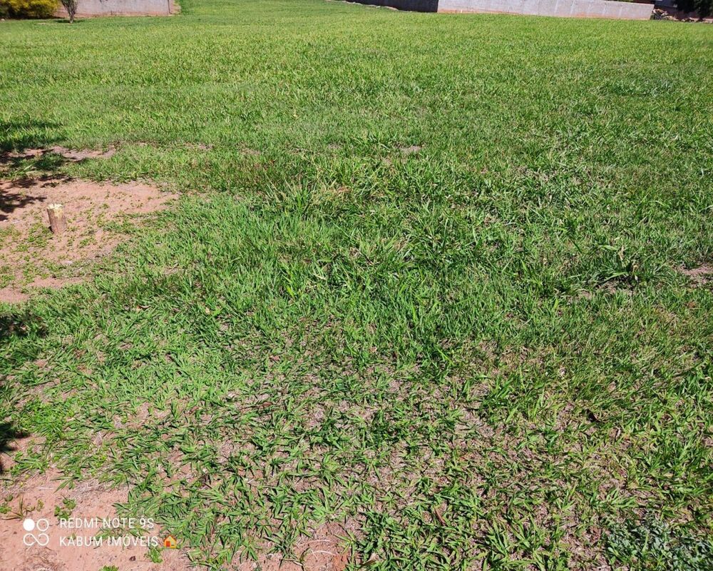 Terreno, 1250 m² - Foto 1