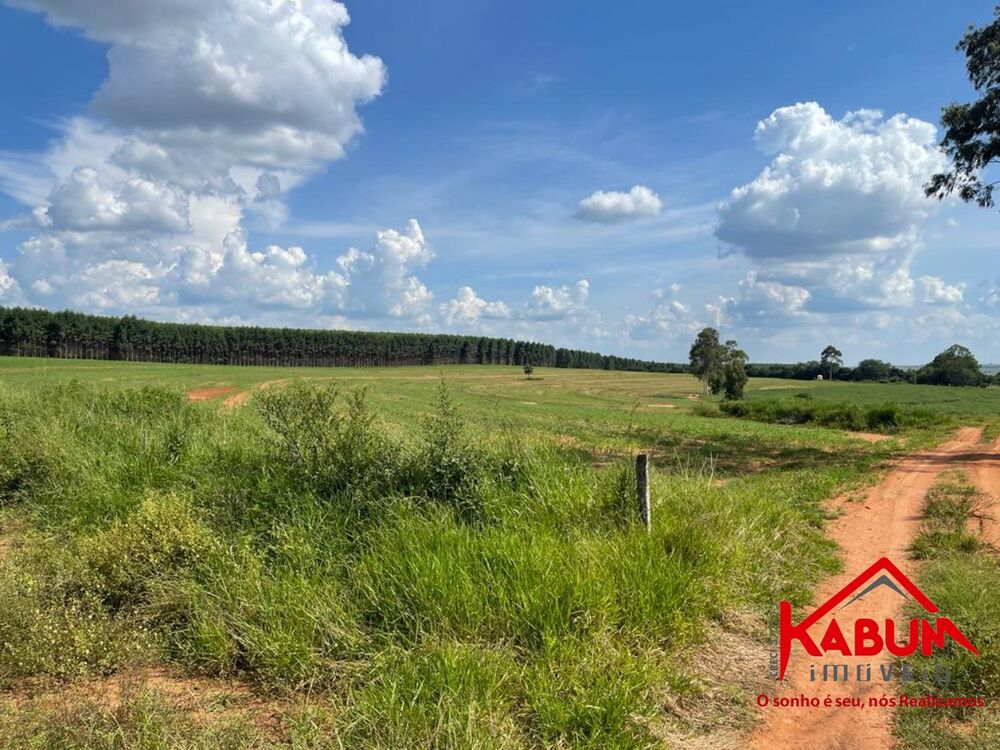 Fazenda à venda com 5 quartos, 147m² - Foto 12