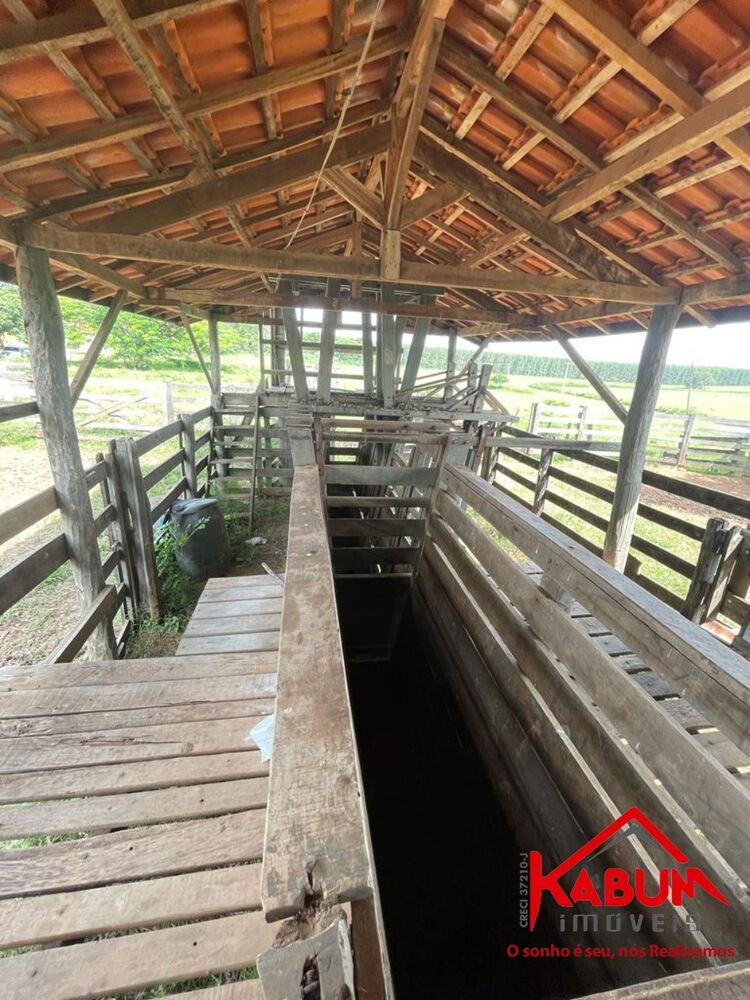 Fazenda à venda com 5 quartos, 147m² - Foto 5