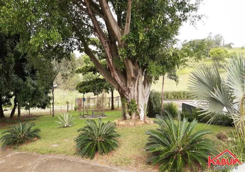 Sítio, 4 quartos, 10 hectares - Foto 2