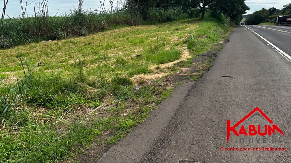 Sítio, 16 hectares - Foto 1