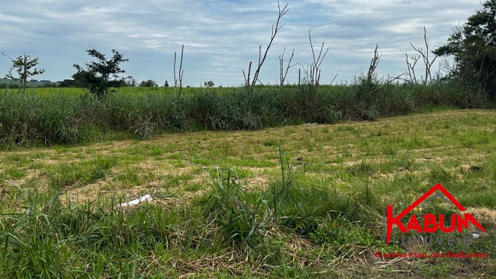 Sítio, 16 hectares - Foto 2