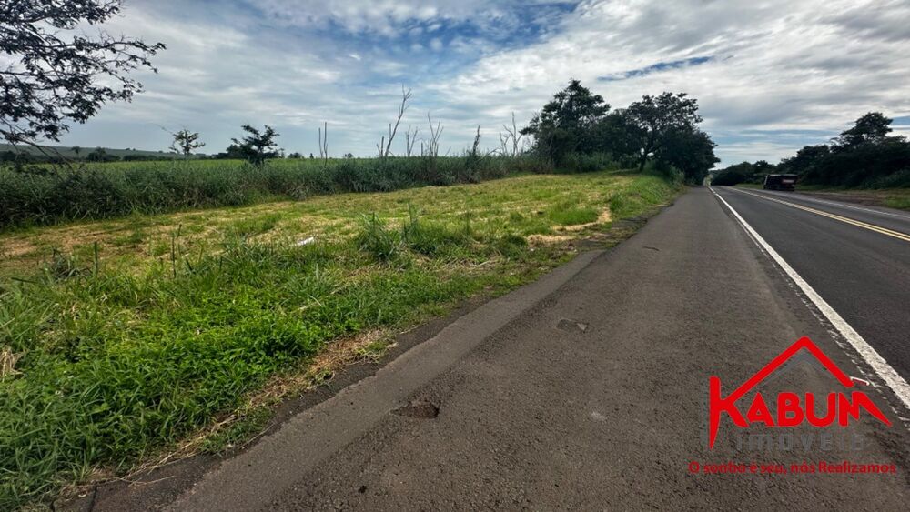 Sítio, 16 hectares - Foto 3