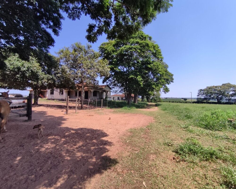 Fazenda, 150 m² - Foto 9