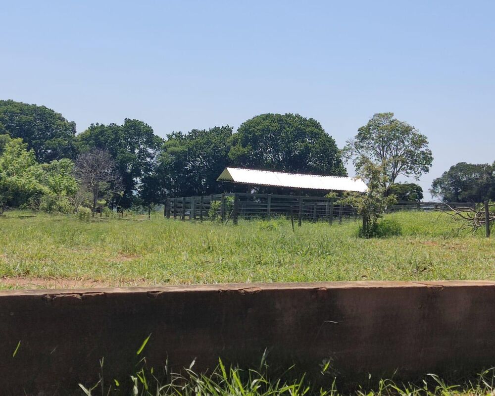 Fazenda, 150 m² - Foto 7