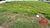 Terreno, 382 m² - Foto 1