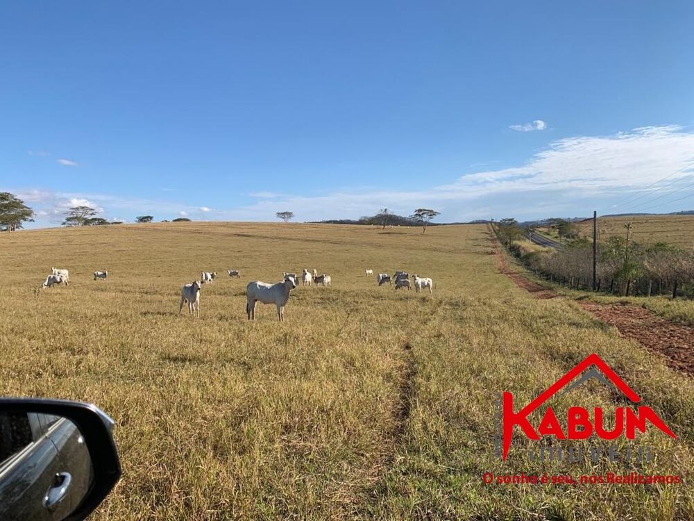 Fazenda à venda - Foto 6