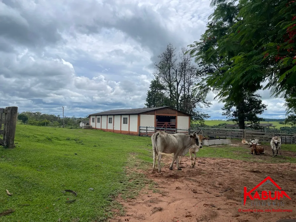 Fazenda - Foto 6