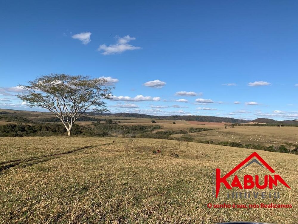 Fazenda à venda - Foto 5