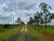 Fazenda - Foto 1