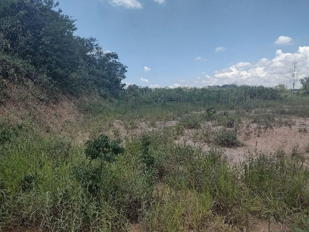 Terreno, 4900 m² - Foto 5