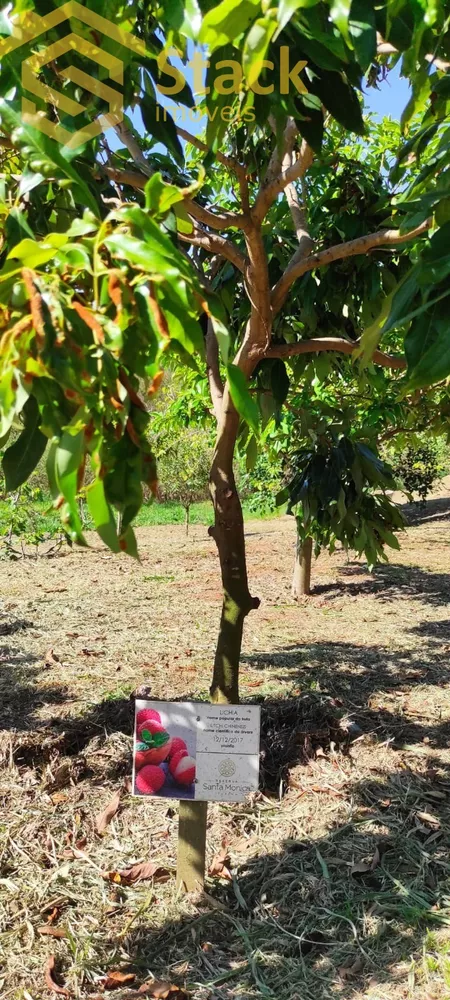 Terreno, 800 m² - Foto 6