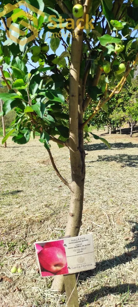 Terreno, 800 m² - Foto 7