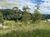 Terreno, 1010 m² - Foto 3