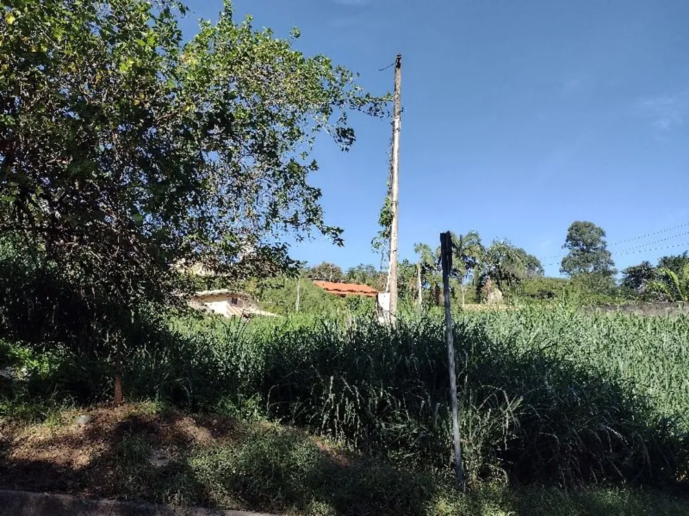Terreno, 997 m² - Foto 3