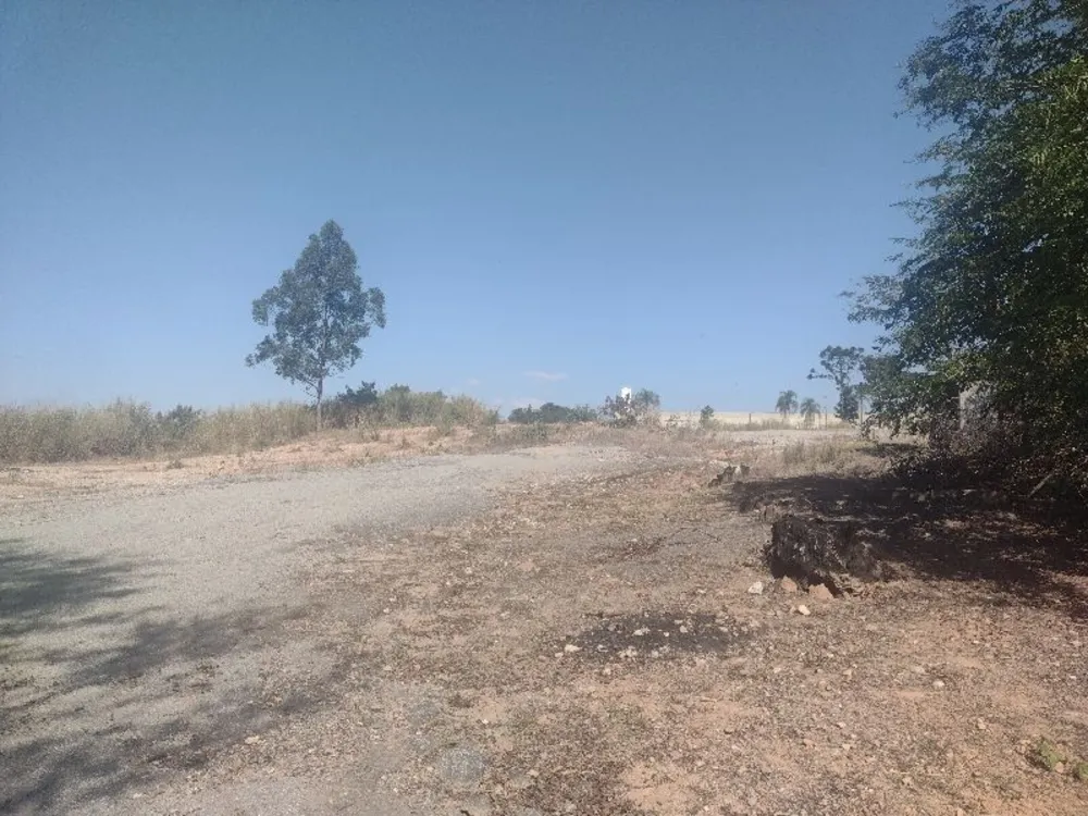 Terreno, 2 hectares - Foto 3