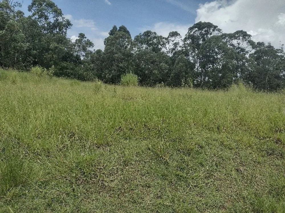 Terreno, 2310 m² - Foto 5