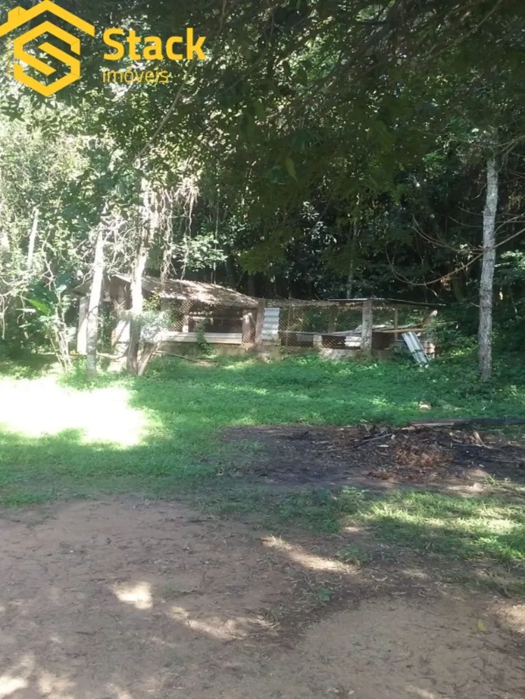 Sítio, 4 quartos, 23000 m² - Foto 7