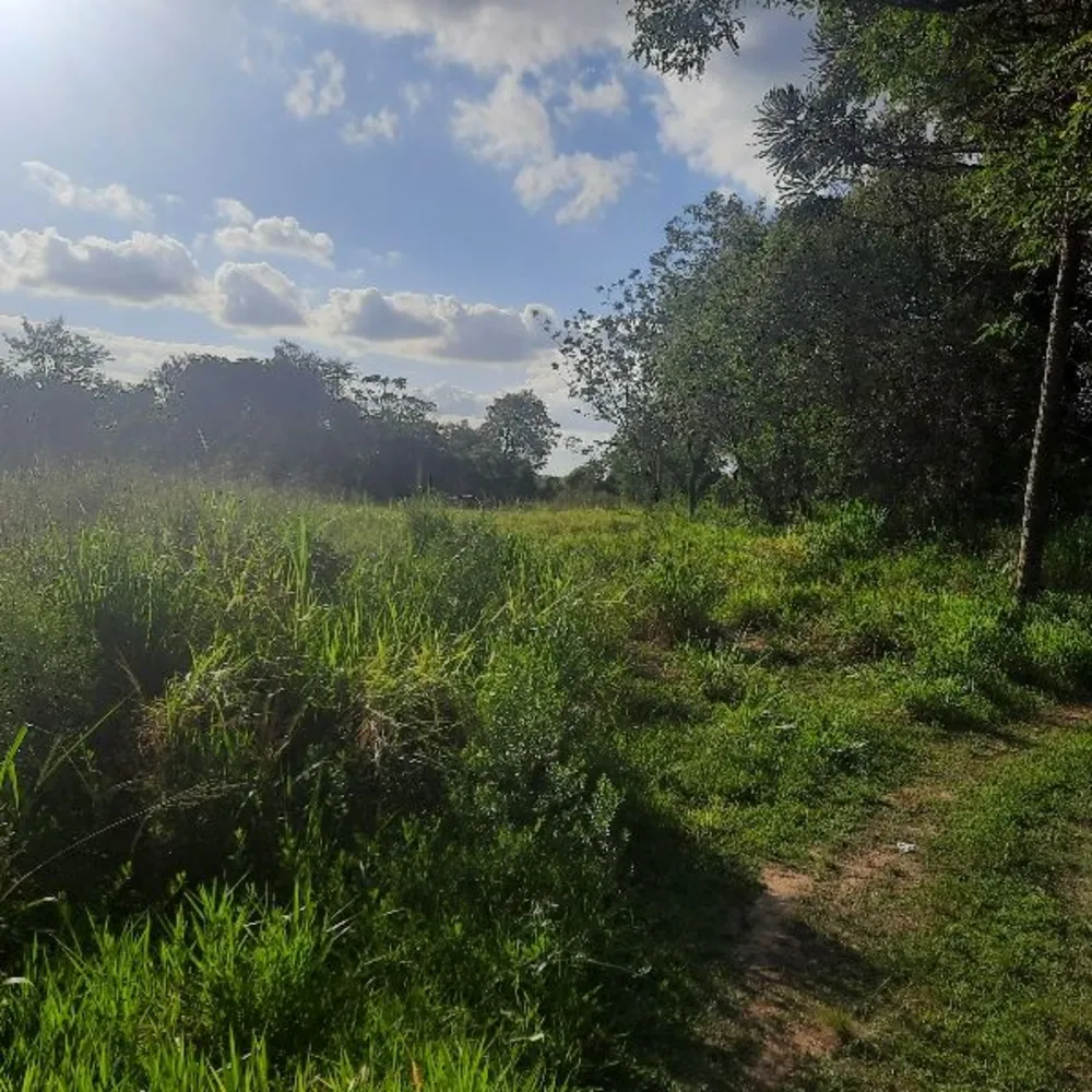 Terreno, 20 hectares - Foto 6