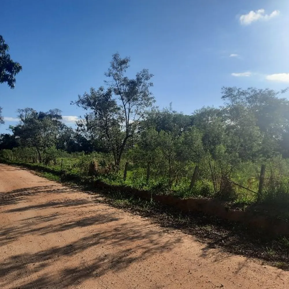 Terreno, 20 hectares - Foto 4