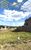 Terreno, 800 m² - Foto 3