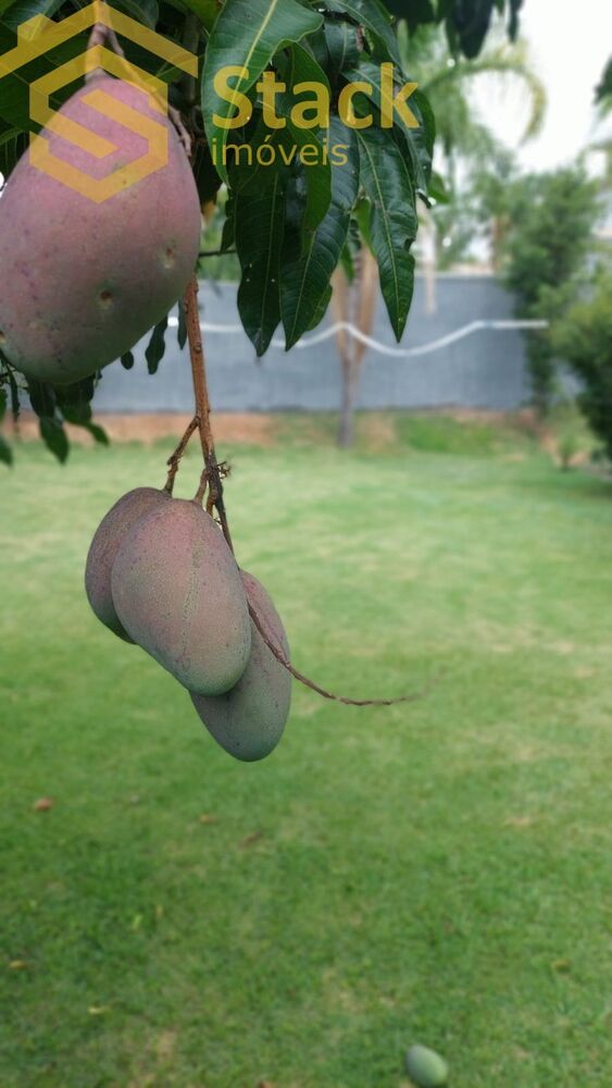 Chácara, 3 quartos, 1000 m² - Foto 16