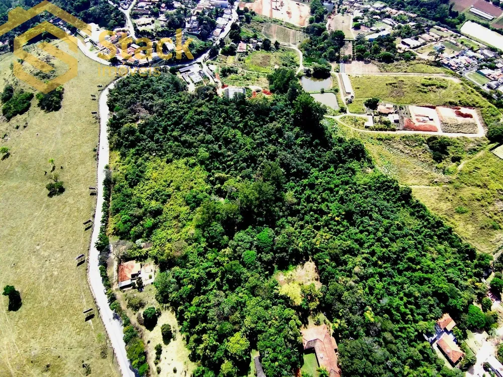 Terreno, 8 hectares - Foto 5