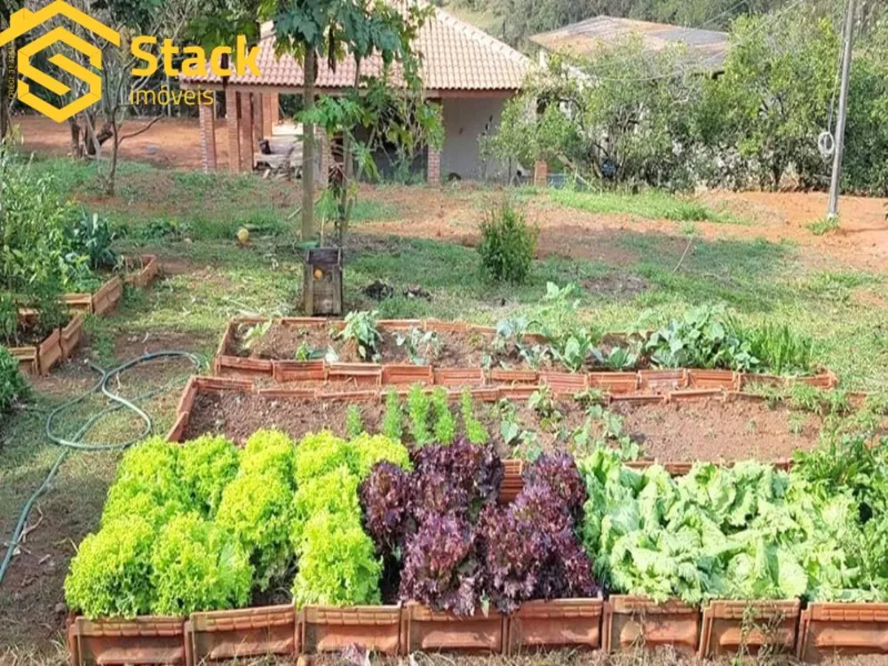 Sítio, 3 quartos, 5 hectares - Foto 12