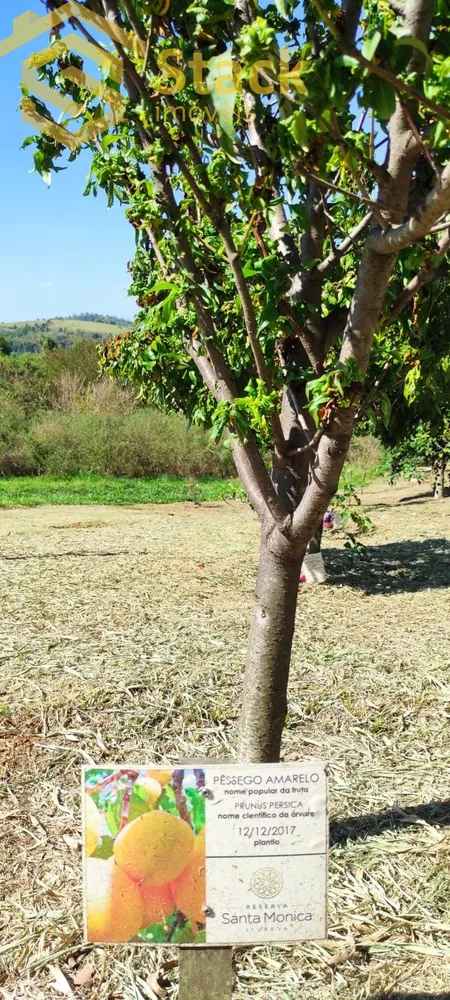 Terreno, 1478 m² - Foto 10