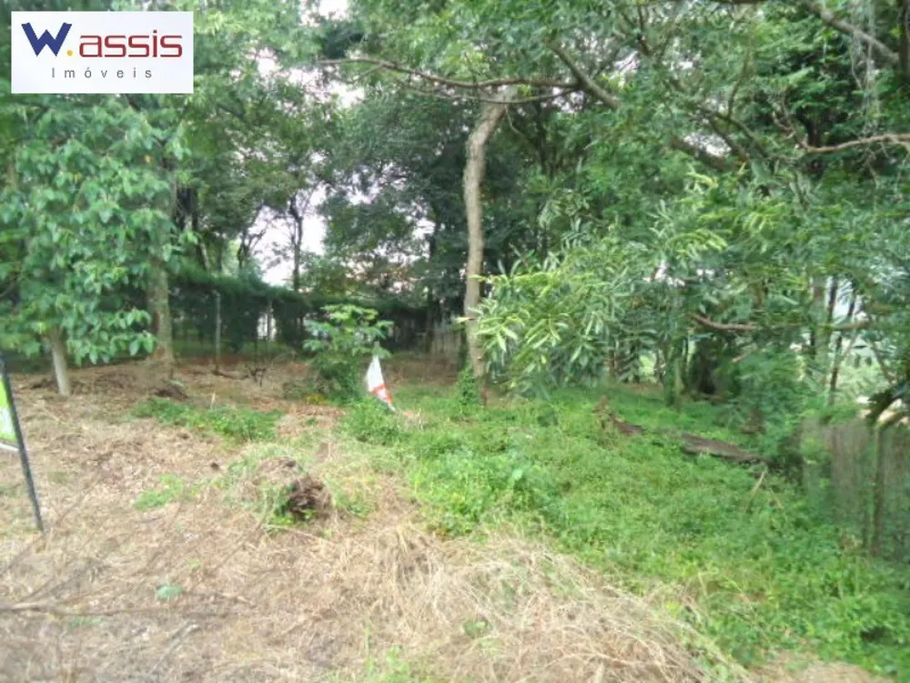 Terreno, 1570 m² - Foto 4