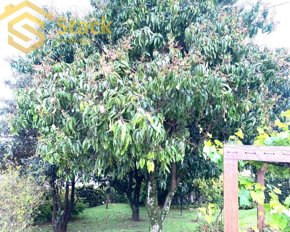 Casa, 5 quartos, 824 m² - Foto 27